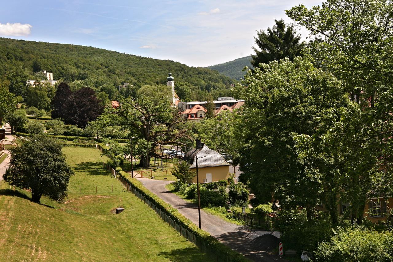 Rhoen Hotel Waldcafe St. Georg Staatsbad Bruckenau Exterior photo
